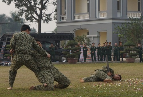 Can canh dac cong biet dong minh dong da sat-Hinh-8